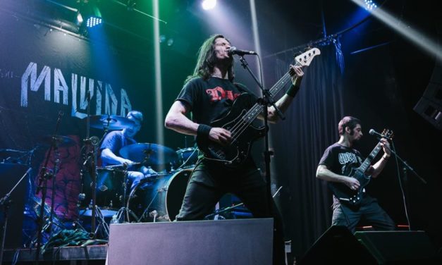 Malvina – hybrid war, toth live session y mas…